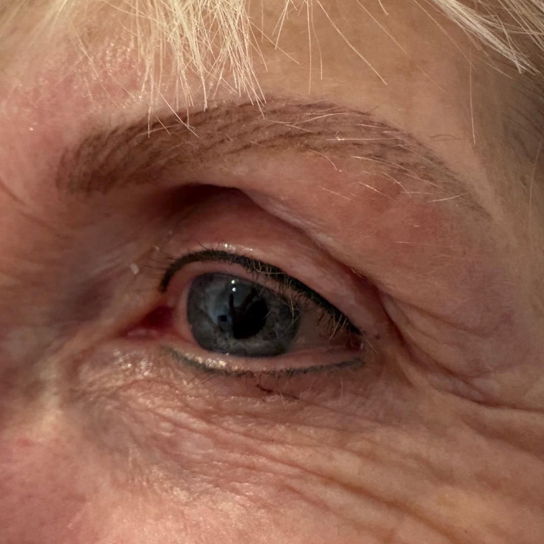 Nathalie Juvyns PermanenteMakeUp Resultaat Wenkbrauw